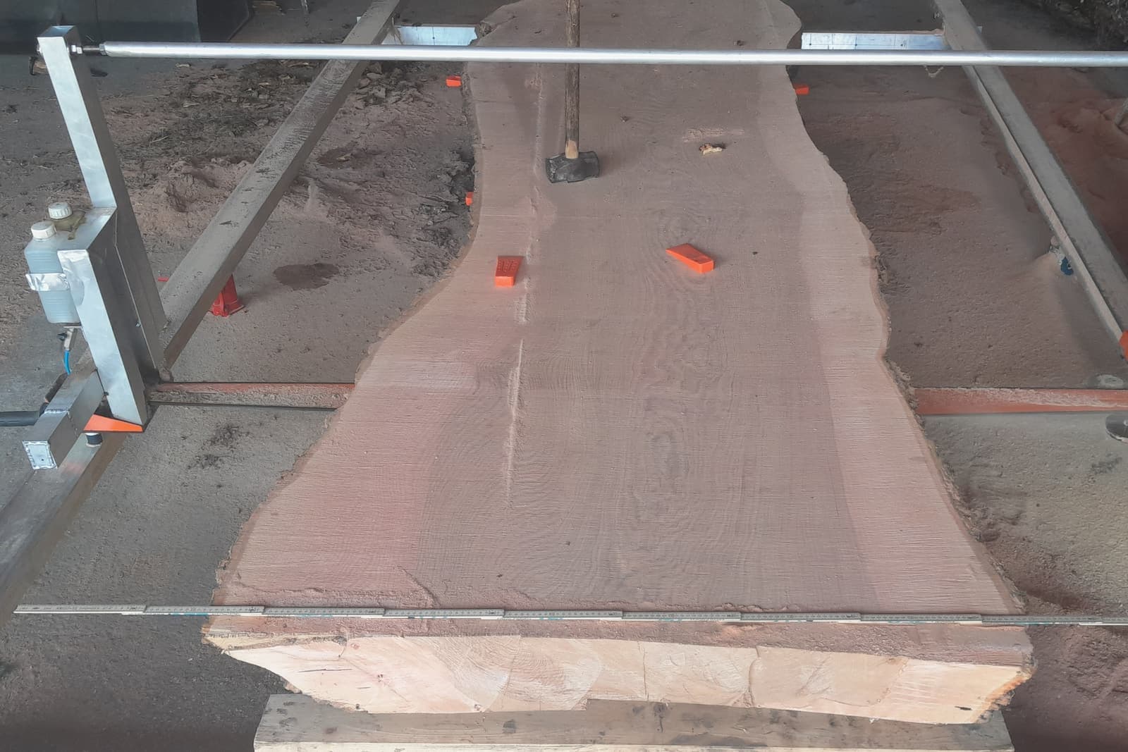 Eine frisch aufgeschnittene Bohle mit gewachsenen Kanten liegt im Kettensägewerk, mit Keilen aufgebockt, am unteren Rand ein Maßstab.